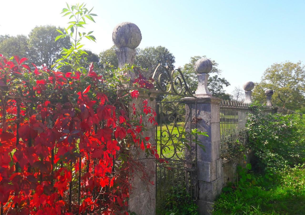Domaine Lou Castet Bed & Breakfast Tuzaguet Exterior photo